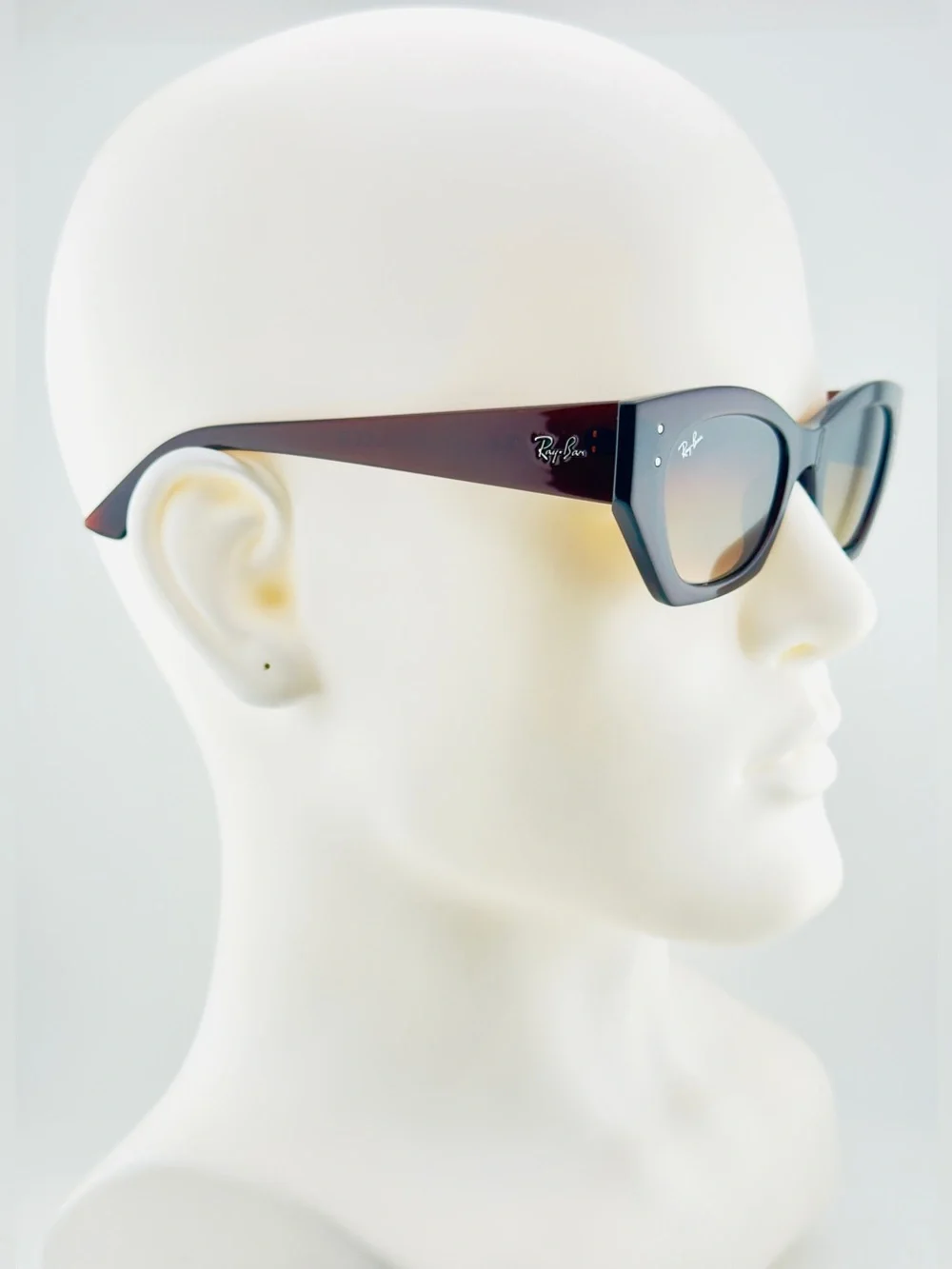 Ray-Ban Zena Bio Based Sunglasses RB4430 Polished Rusty Brown Frame Brown Lenses - Picture 5 of 15
